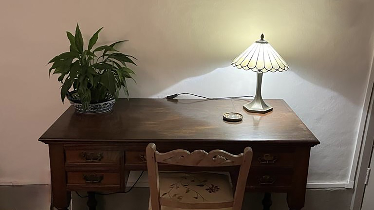 A desk with lamp and plant on it