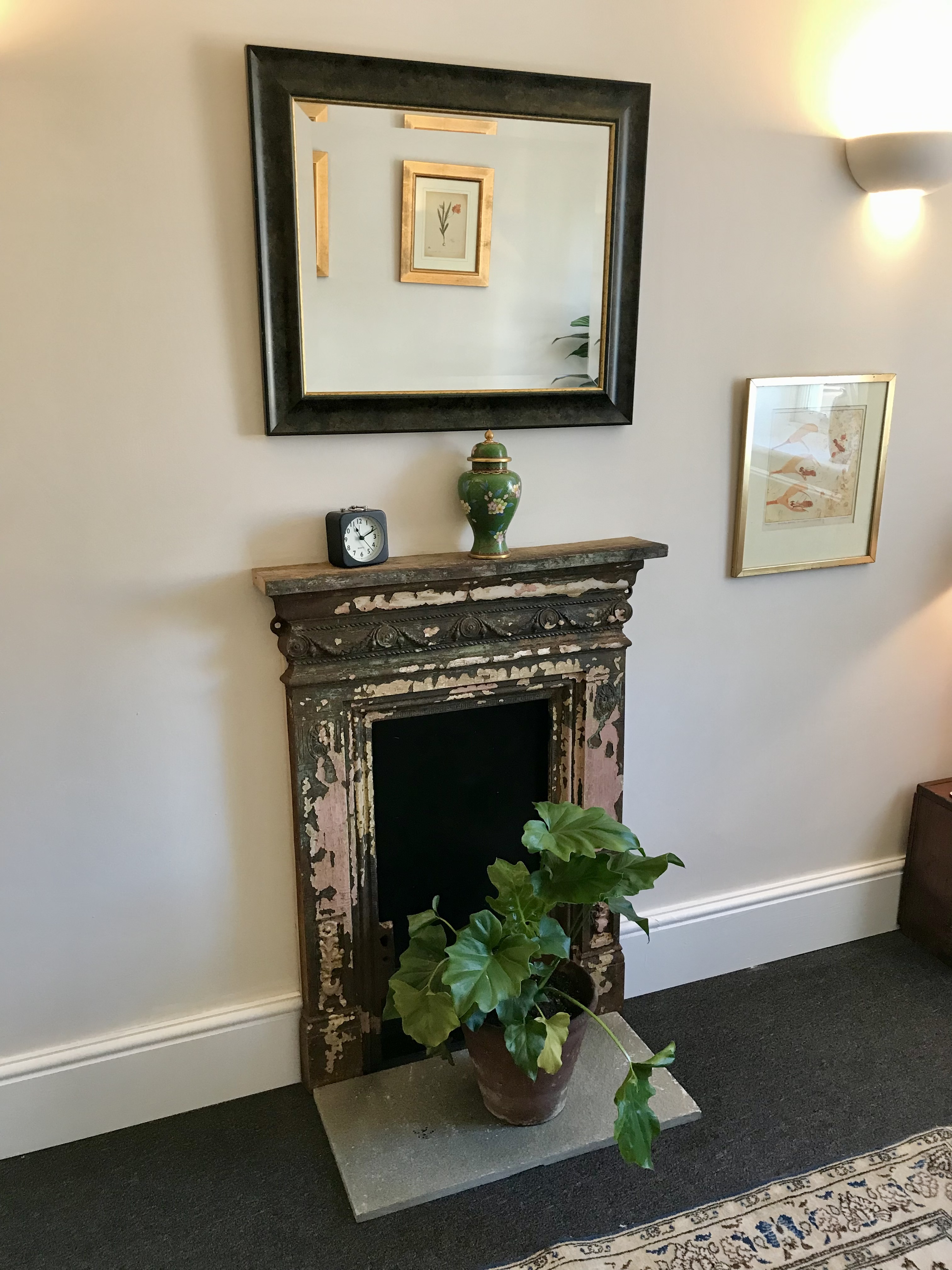 Fireplace, mirror and plant