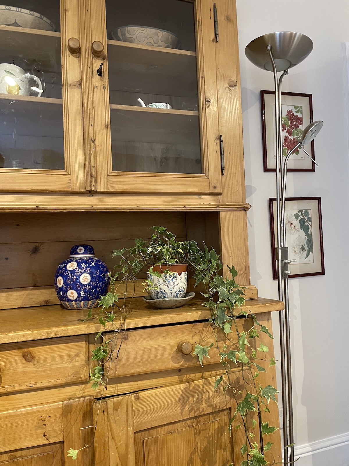Ivy plant on a wooden cabinet